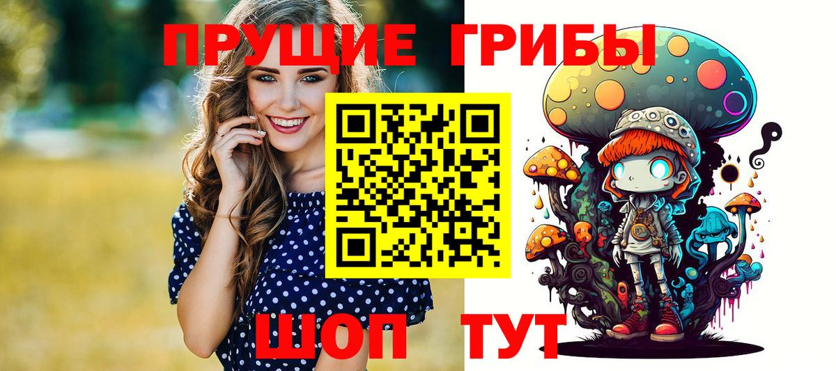 Галлюциногенные грибы Psilocybe  Вход с VPN  где продают наркотики  Киреевск 
